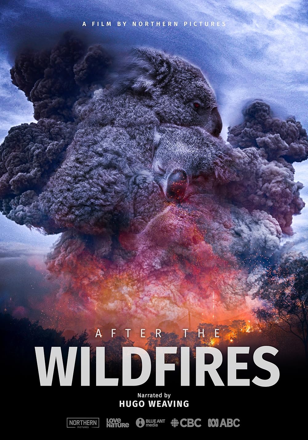 After the Wildfires (2020)
