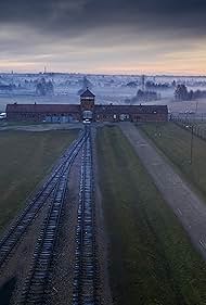 Auschwitz: Countdown to Liberation (2025)