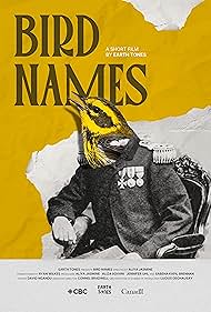 Bird Names (2026)