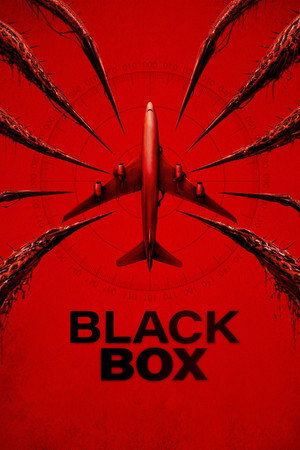 Black Box (Flight 298) 2026
