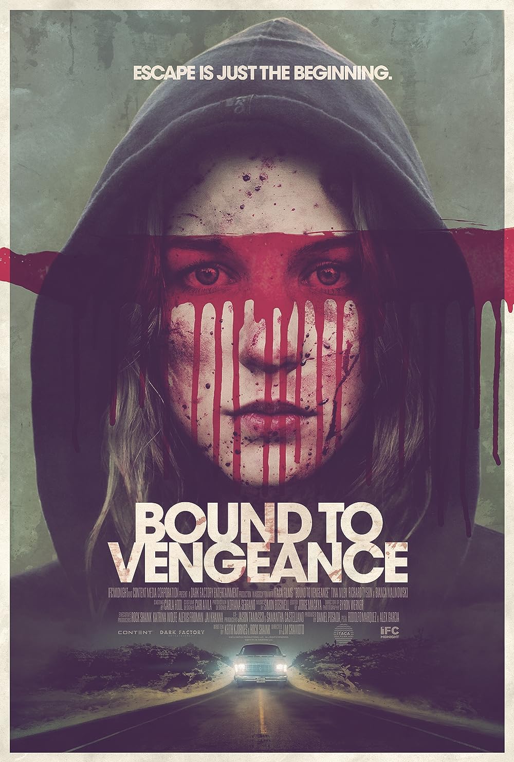 Bound to Vengeance (2015)