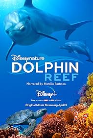 Dolphin Reef (2020)