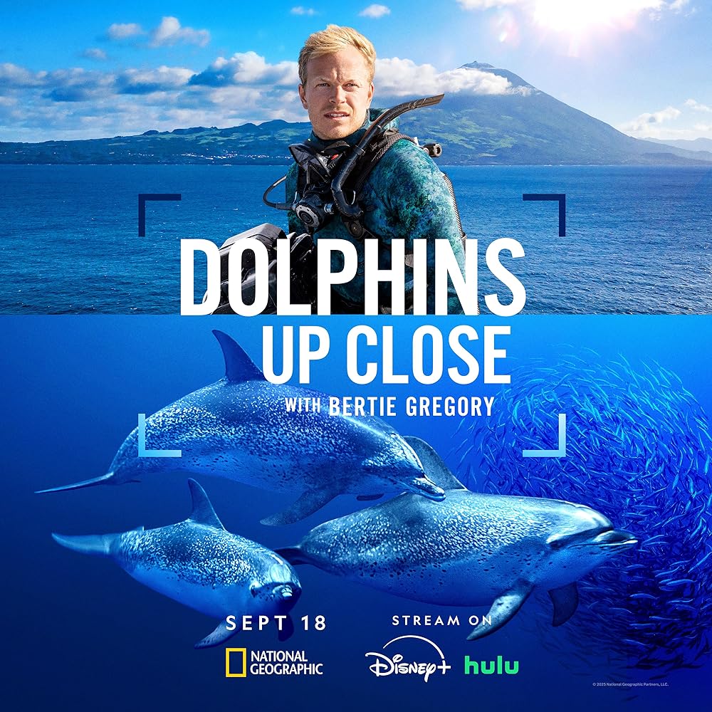 Dolphins Up Close with Bertie Gregory (2025)