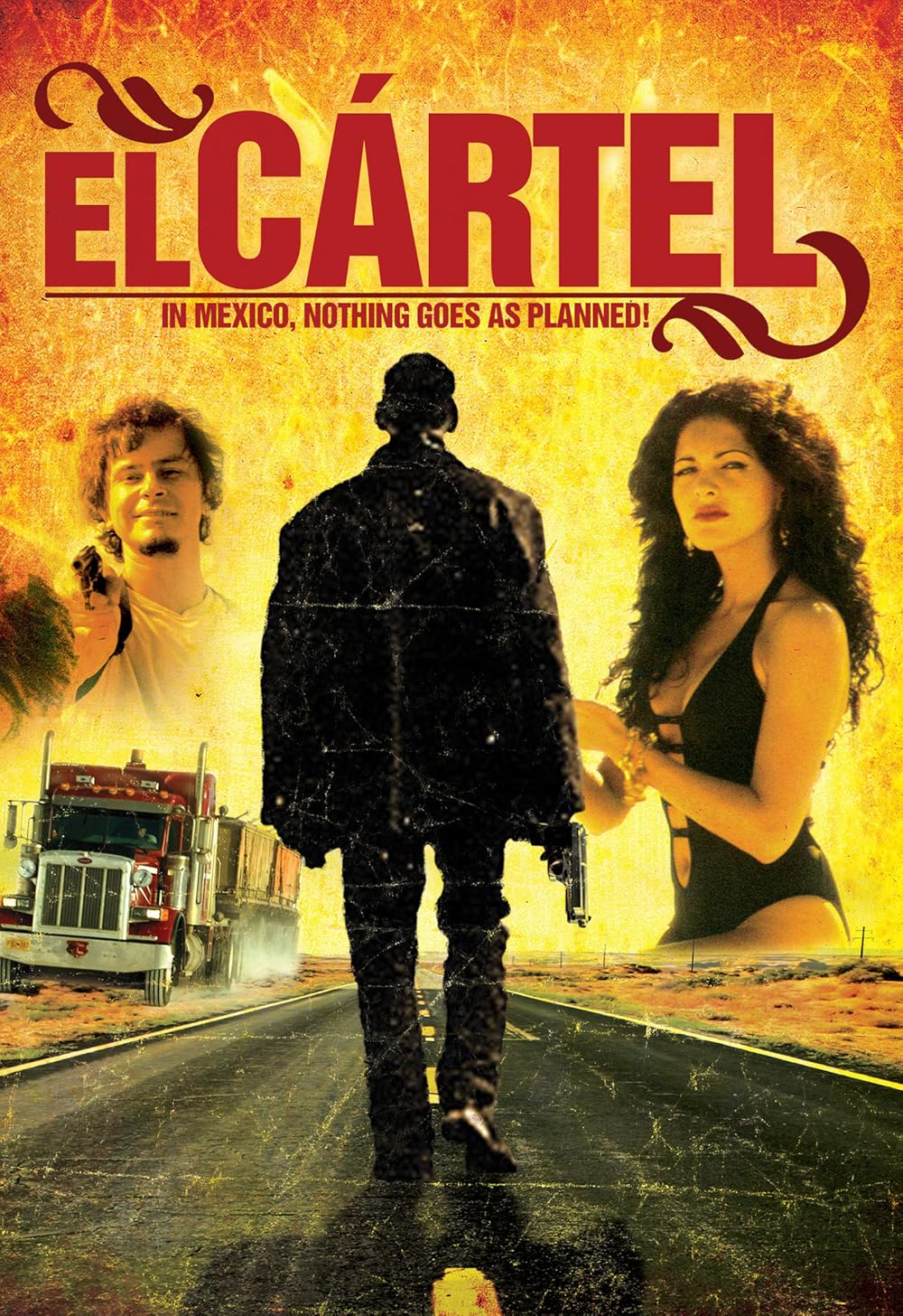 El cÃ¡rtel (2009)