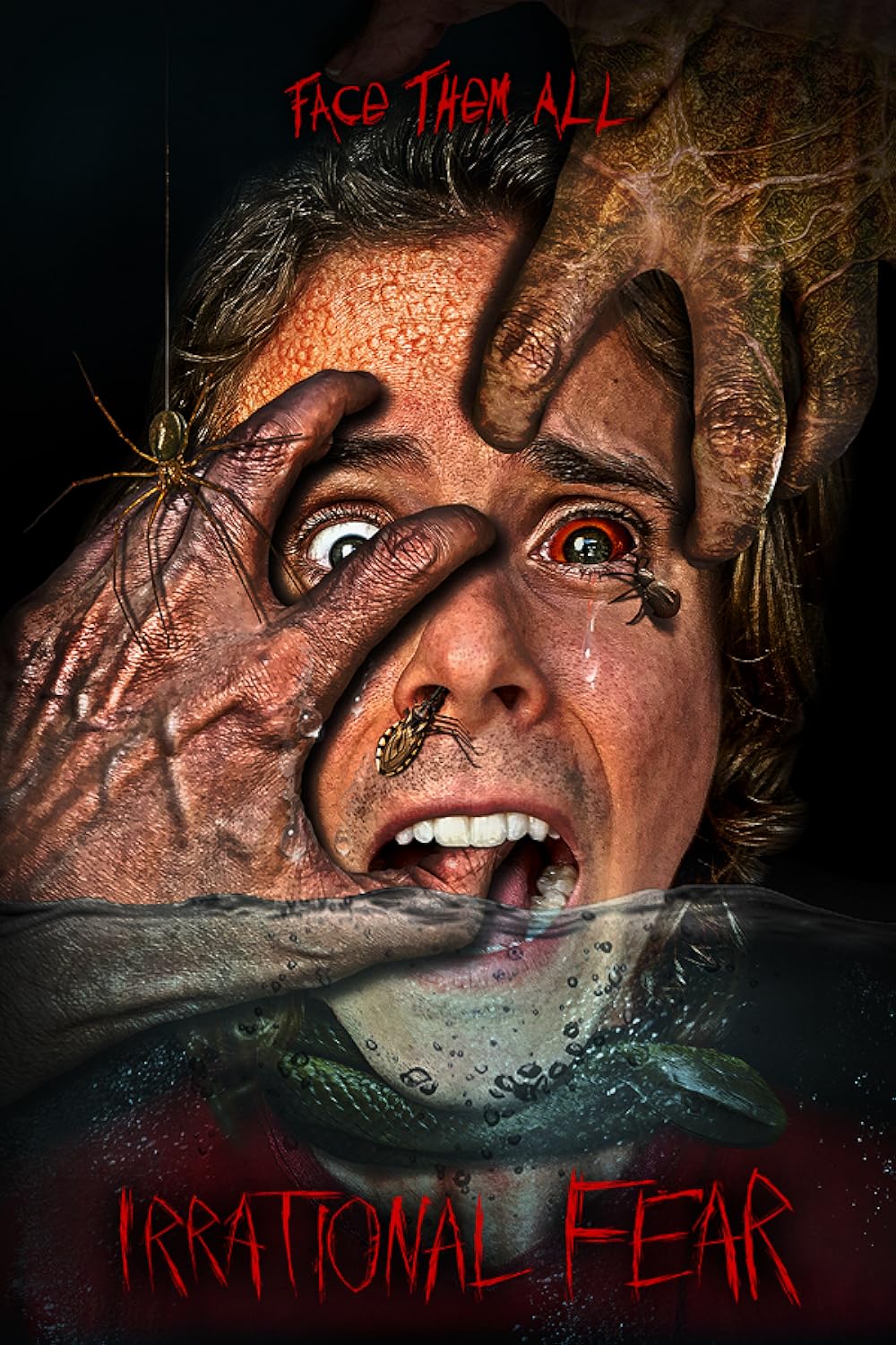 Irrational Fear (2017)