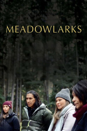 Meadowlarks (2025)