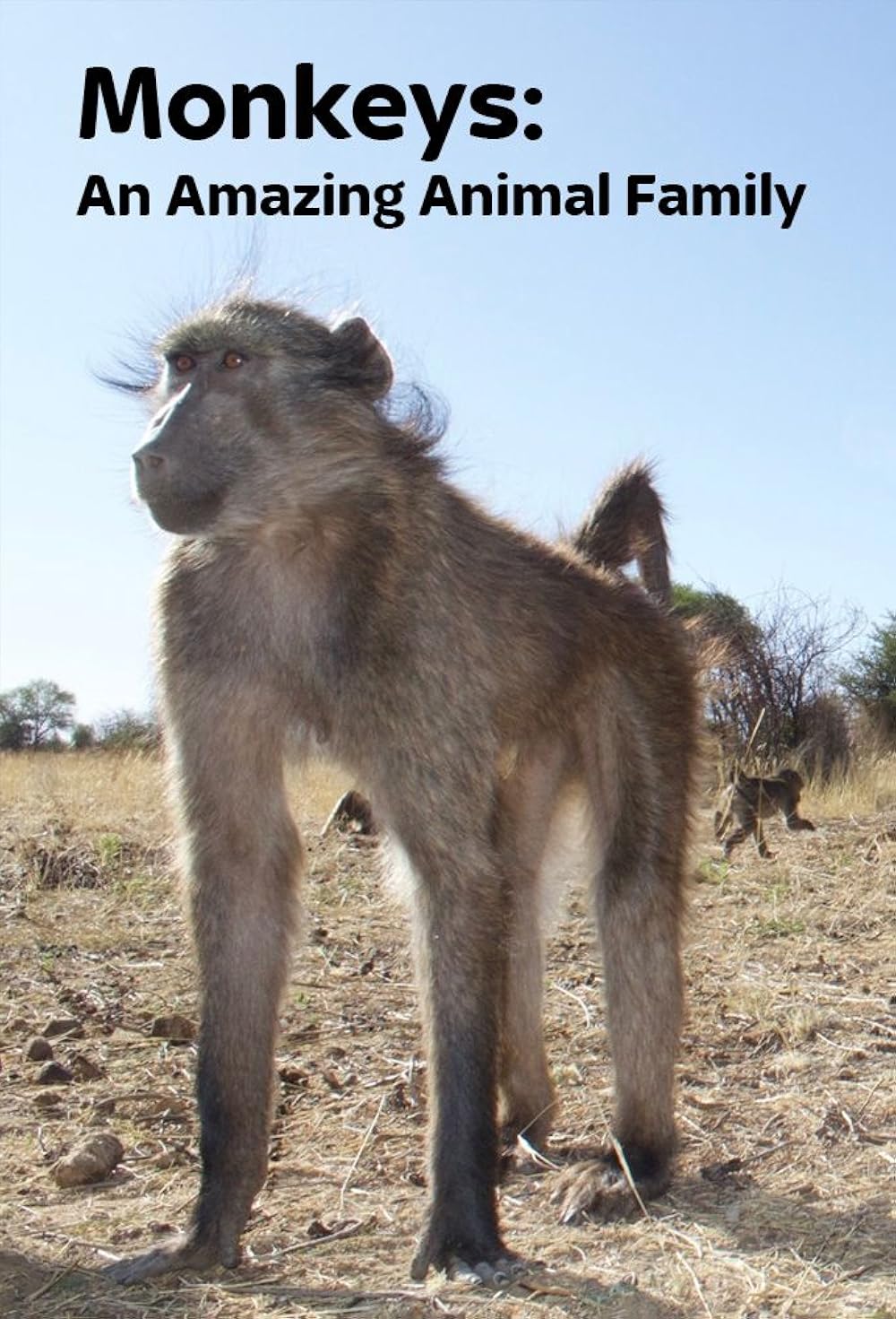 Monkeys: An Amazing Animal Family (2016)