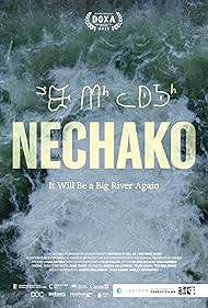 Nechako: It Will Be a Big River Again (2025)