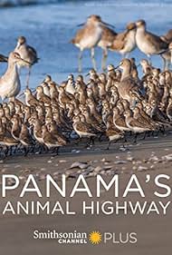 Panama's Animal Highway (2017)