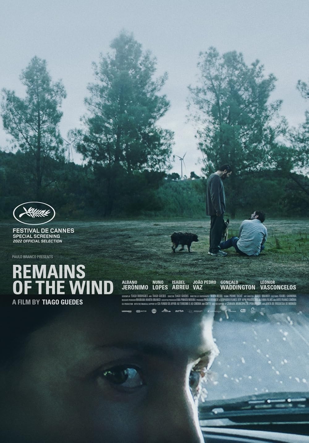 Remains of the Wind (2022)