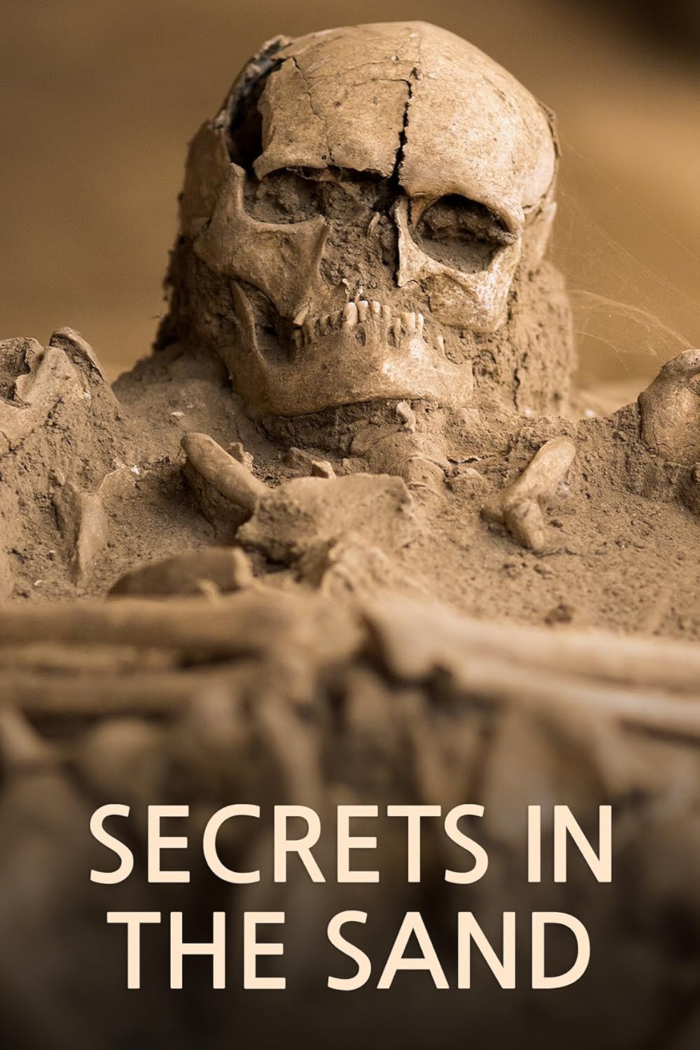Secrets in the Sand (2023)