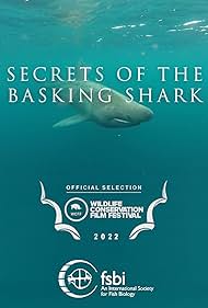 Secrets of the Basking Shark