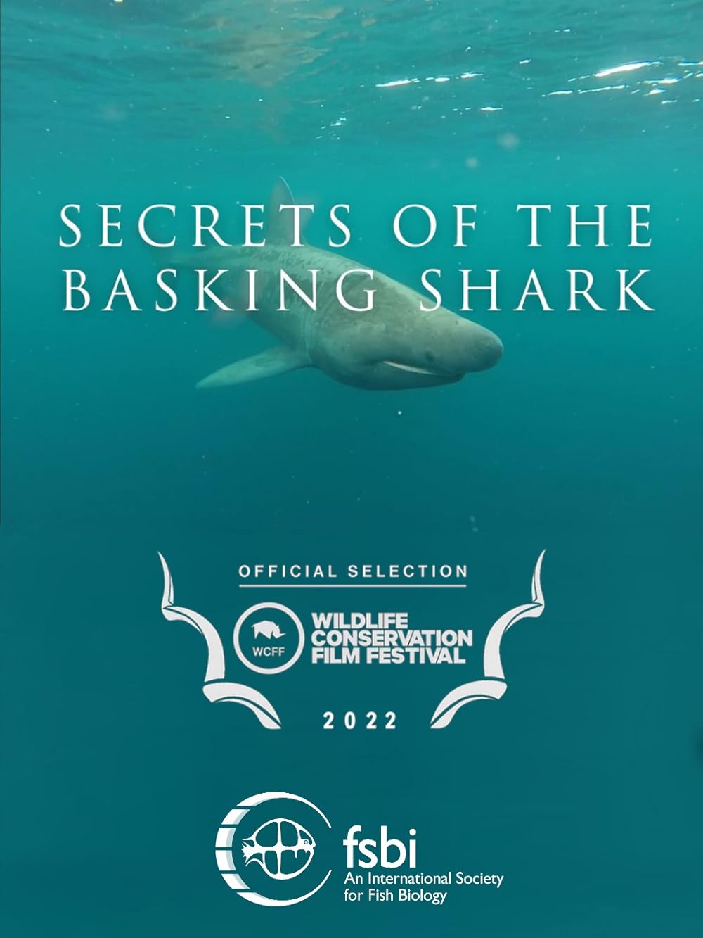 Secrets of the Basking Shark