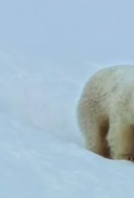 Snow Bears (2017)