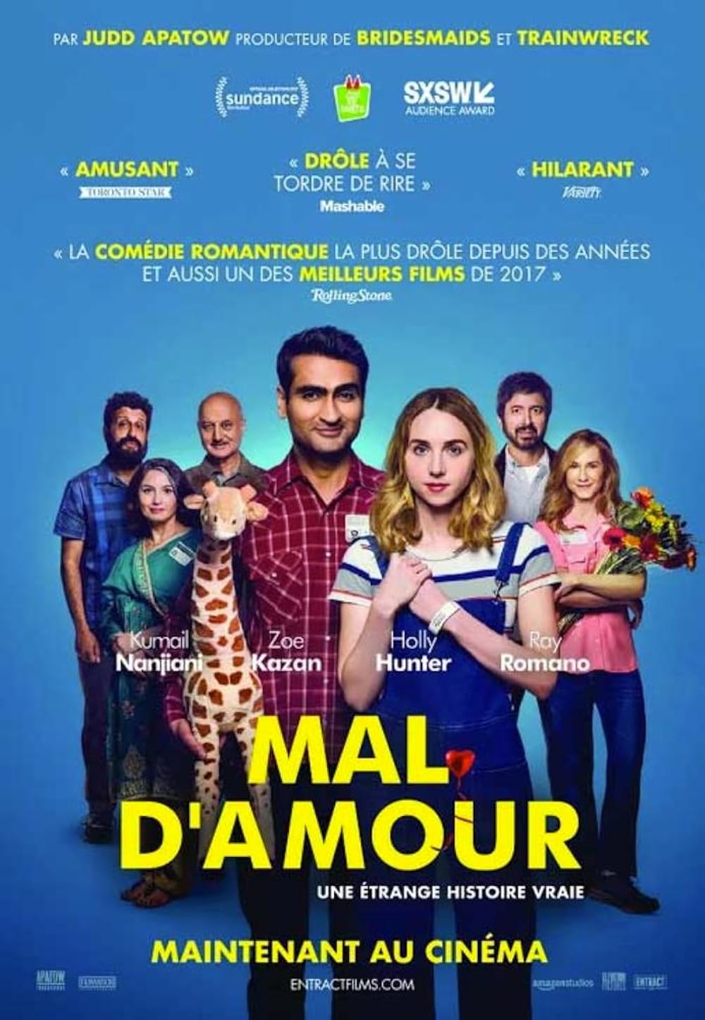 The Big Sick (2017)