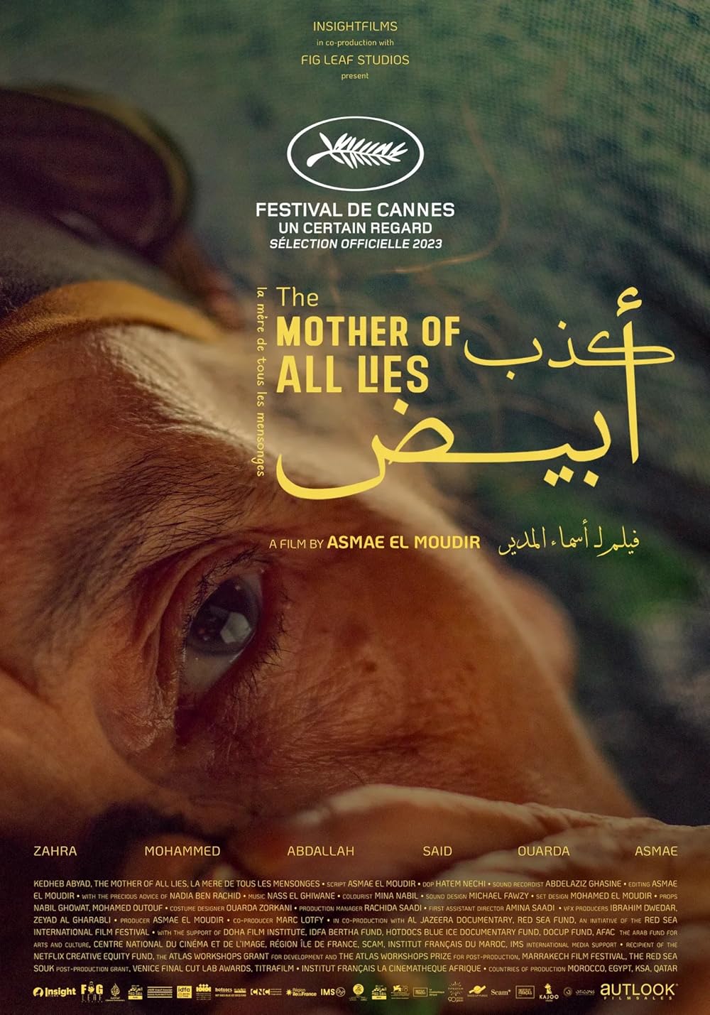 The Mother of All Lies (2024)