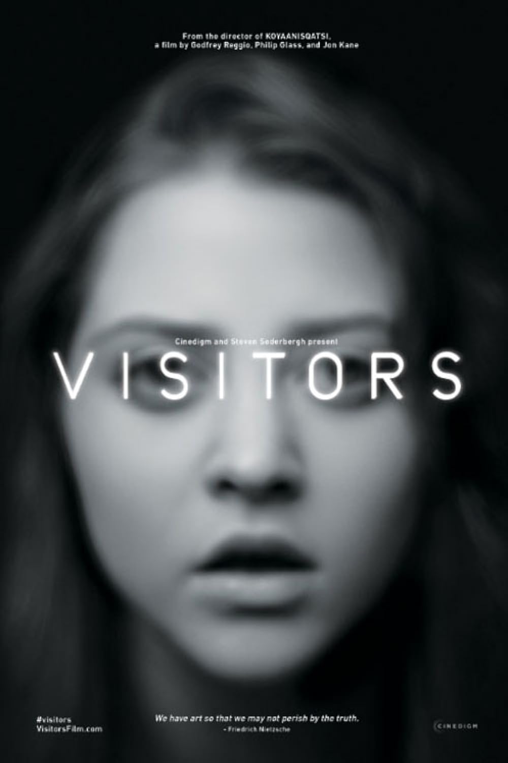 Visitors (2013)